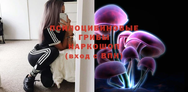 спиды Аркадак