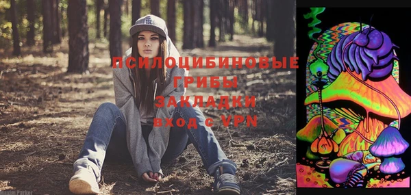 спиды Аркадак