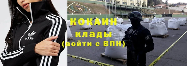 спиды Арсеньев